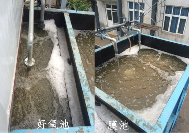 QQ图片20190327144214