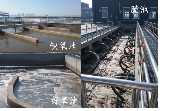 QQ图片20190327144511