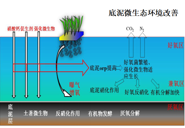 QQ图片20190328091958