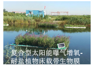 QQ图片20190328092015