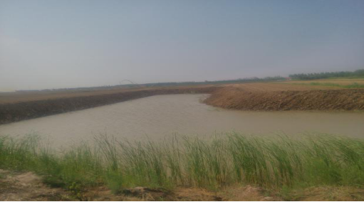 QQ图片20190328101244