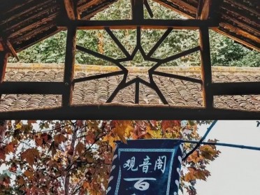 本地人推荐成都学生品茶外卖工作室，这家始终如一