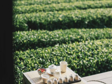 天府成都学生品茶工作室外卖，老司机来路建议收藏