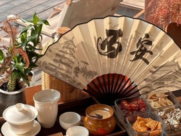 探秘西安品茶工作室t台海选实体店到紫阳富硒尽赏南北茶香风华