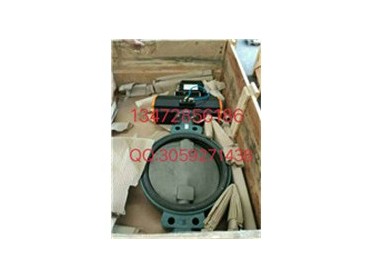 保证原装正品Z011-A依博罗EBRO气动蝶阀