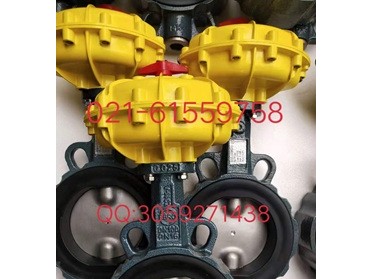 原装正品 德国依博罗EBRO气动扇形蝶阀  价格优惠