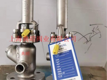 保温夹套柱塞取样阀304|316L