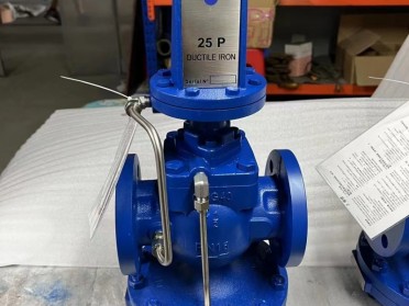 XGESTRU蒸汽稳压调压25P减压阀