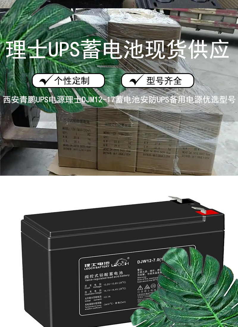 2西安UPS电源理士DJM12-17蓄电池，安防UPS备用电源优选型号1