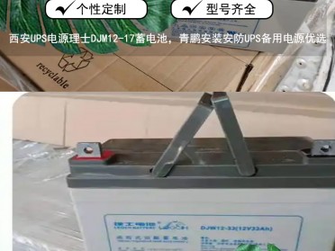 陕西工程配套理士DJM12-24铅酸UPS蓄电池现货供应安防UPS