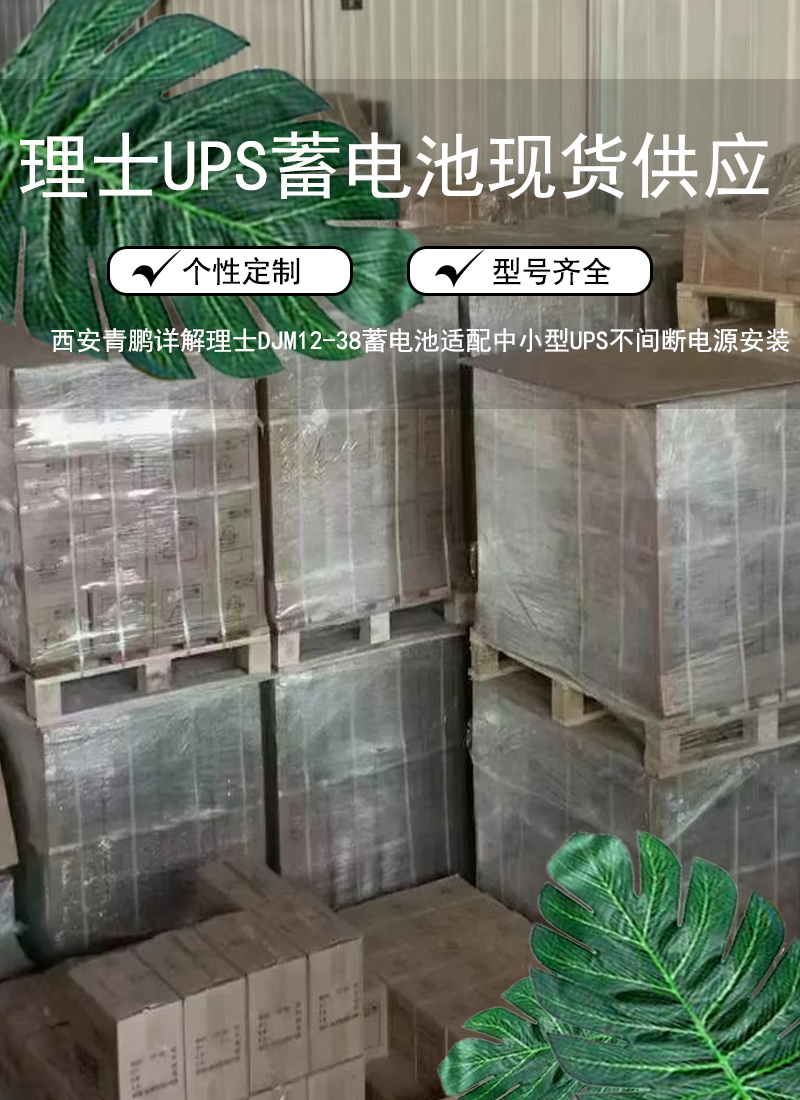 5.西安写字楼机房UPS电源必备：理士 DJM12-65 UPS蓄电池稳定续航5
