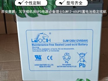 西安写字楼机房UPS电源必备理士DJM12-65 UPS蓄电池稳定续航