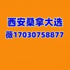 西安桑拿工作室体验报告现代品茶大选海选预约奢享极致放松攻略