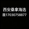 西安品茶外卖工作室海选实体店高端大选场子全城安排电话